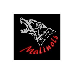 Haft Malinois 1